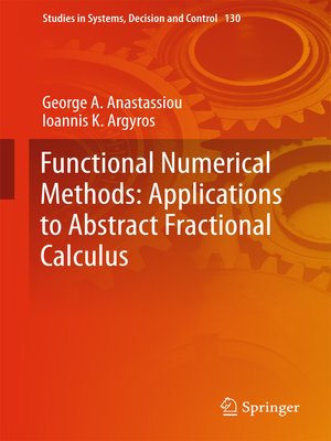 cover image of Functional Numerical Methods